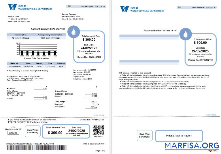 Realistic Hong Kong Water Supplies Department utility bill editable template